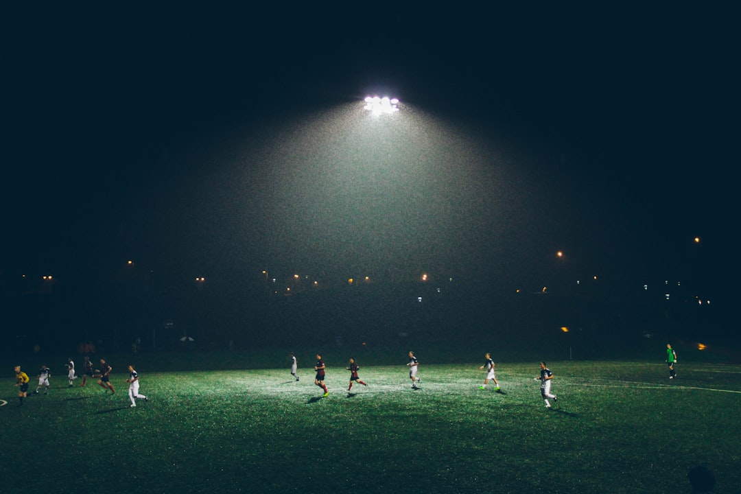 Slovenská futbalová liga 2025